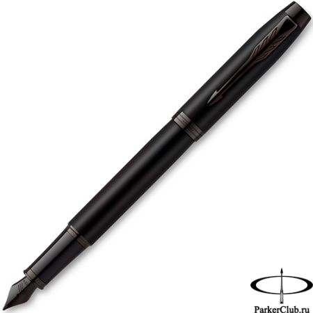 Перьевая ручка Parker (Паркер) IM Achromatic Matte Black BT F